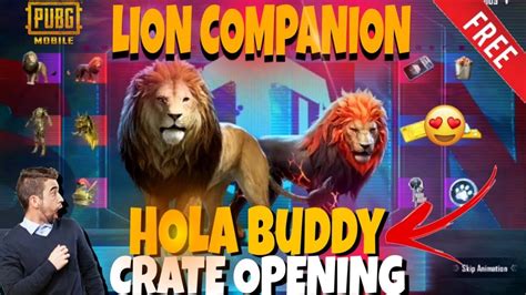 Uc New Lion Hola Buddy Crate Opening In Bgmi Best Hola Buddy Skin