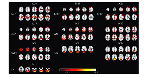 Spatial Maps Of Identified Resting State Networks Rsns Are Divided