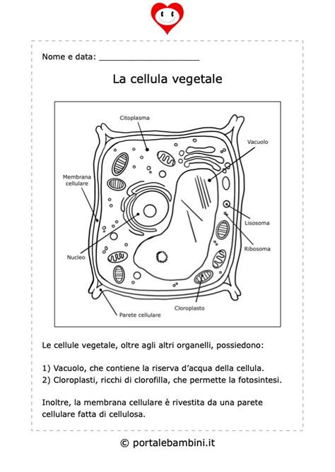 Cartina Muta Inghilterra Da Completare