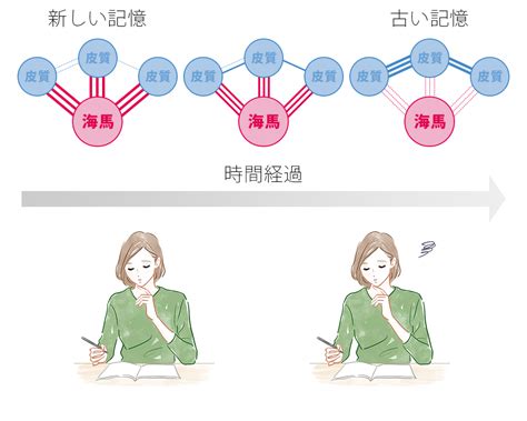 学習と睡眠の関係は？ 質の良い眠りで学習定着率をアップさせよう キャリア教育ラボ