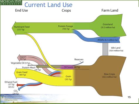 Apca New Directions For Agricultural Policy Daryll E Ray University Of