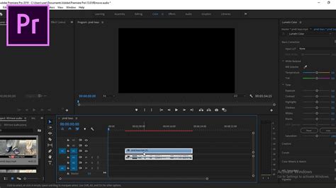 How To Remove Audio In Adobe Premiere Pro In Minuts Hindi Youtube