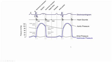 Cardiac Cycle Physiology Youtube