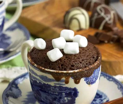 Hot Cocoa Mug Cake Toasty Cocoa