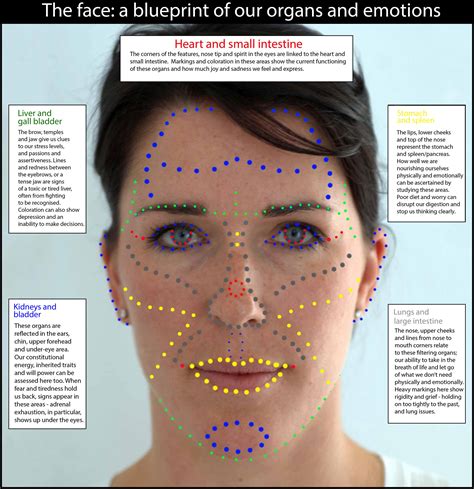 Face Reading The Wellbeing Clinic Marlborough Wiltshire Uk