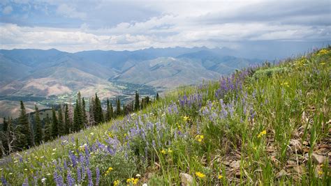 Weather in Sun Valley Idaho Year Round | Locals Guide