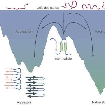 6 Funnel Shaped Free Energy Landscape Of Protein Folding And