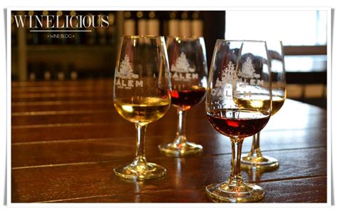 Tipos De Provas De Vinho Winelicious