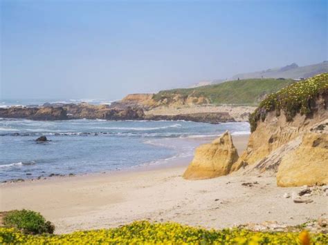 14 Bay Area Tide Pools You Want To Visit How To Get There