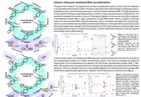 Top Schematic Recombination Assay Based On The Hairpin Ribozyme Blue