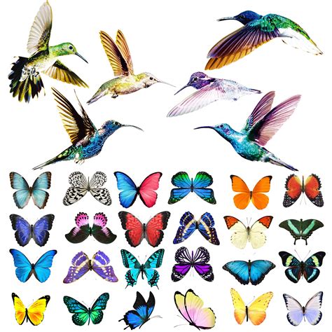 Buy 30 Piece Large Size Butterfly Window Clingswith Bird Window Decals