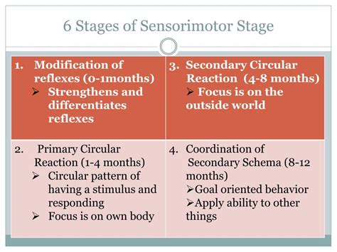 What Is Sensorimotor Stage