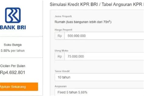 Wujudkan Rumah Idaman Anda Sekarang Juga Dengan Kpr Bri Plafon