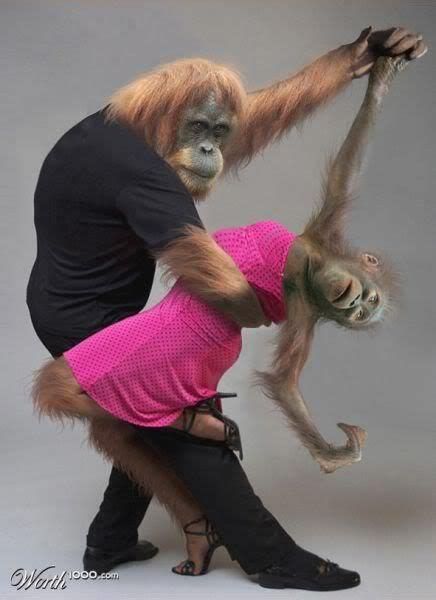 Orango Tango Shall We Dance Just Dance Chimpanzee Orangutan Monkey