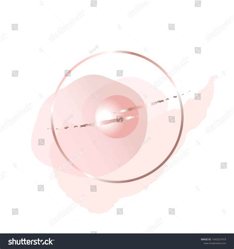 Rose Nude Pink Gold Brush Strokes Stock Vector Royalty Free Shutterstock