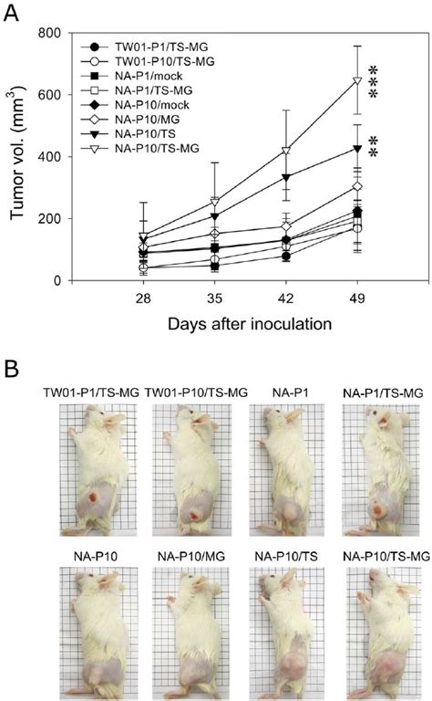 Recurrent Ebv Reactivations Increase The Tumorigenicity Of Na Cells In