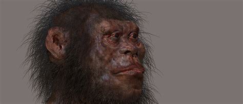 modern humans homo naledi harnessed fire  light warmth