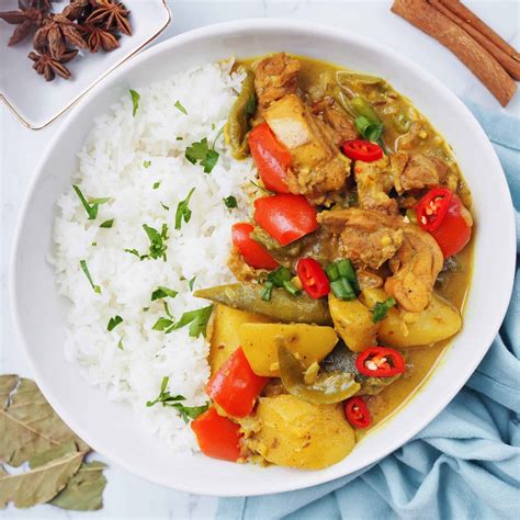 Easy One-Pot Malaysian Chicken Curry - Christie at Home