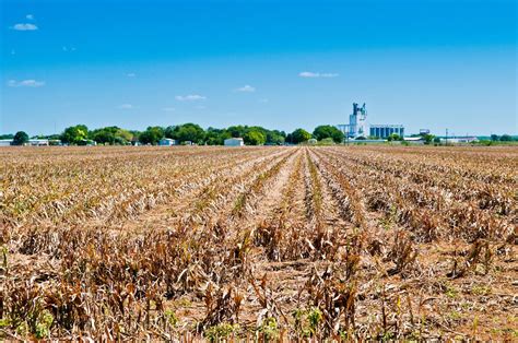 Romanian Govt Passes New Measures To Help Farmers Hit By Severe