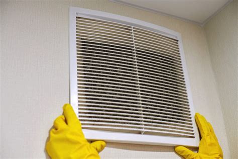 Mold In Air Conditioners How To Clean And Prevent Growth Molekule Blog