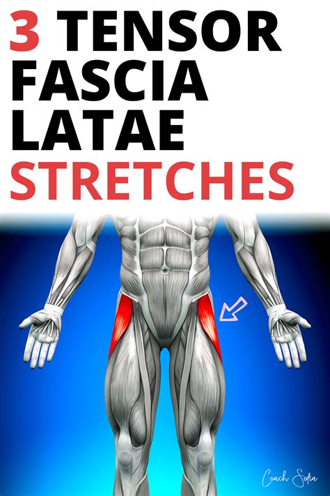 13 Essential Tensor Fascia Latae Tfl Stretches Pdf Download Knee Pain Exercises Hip Pain