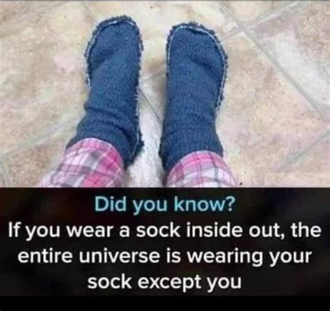 The Best Sock Memes Memedroid