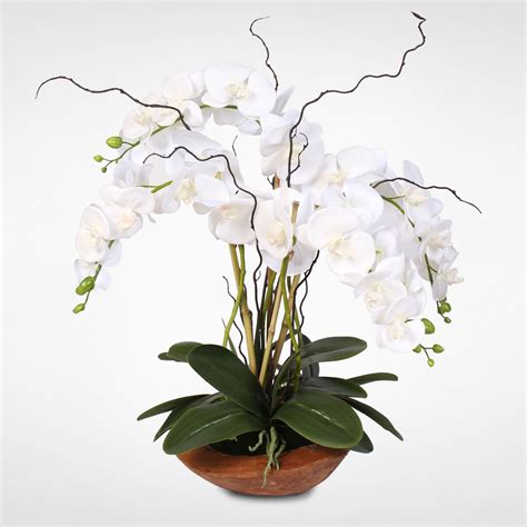 Real Touch Phalaenopsis Silk Orchid Arrangement With Curly Willow In