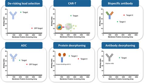 Membrane Protein Antibody Discovery MPS AB5000 Kyinno Bio