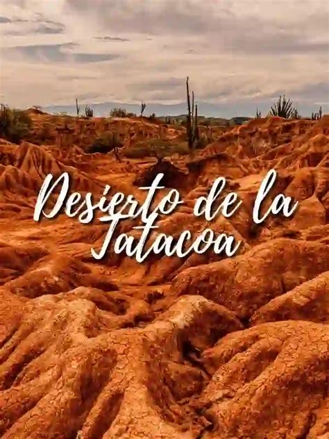 Vive El Viaje Al Desierto De La Tatacoa Ecolombiatours