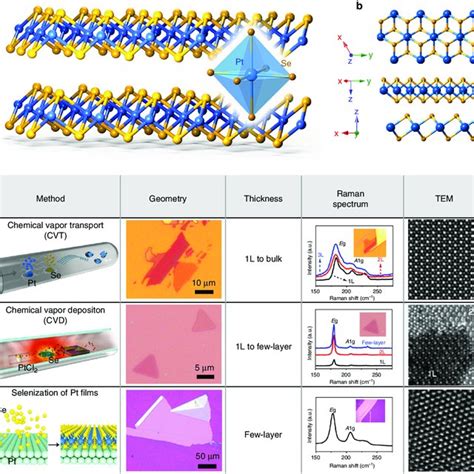 Optoelectronic Properties Of The Monolayer And The Bilayer Ptse A B