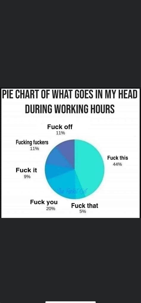 PIE CHART OF WHAT GOES IN MY HEAD DURING WORKING HOURS Fuck Off 11