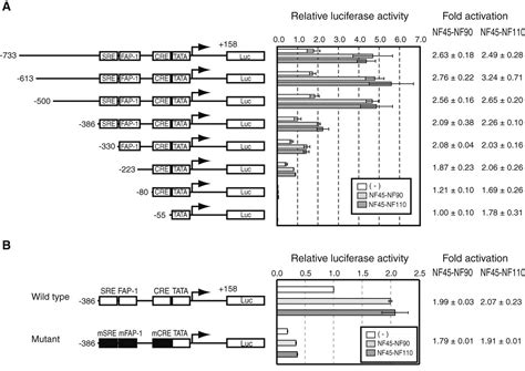 The Rna Binding Complexes Nf45 Nf90 And Nf45 Nf110 Associate