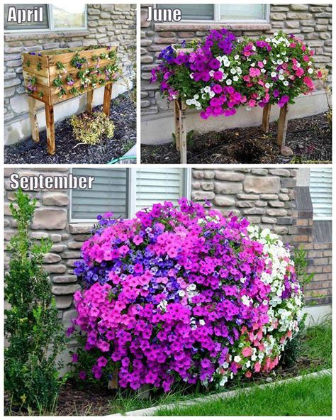 15 Gardening Tips and Clever Ideas | The 36th AVENUE