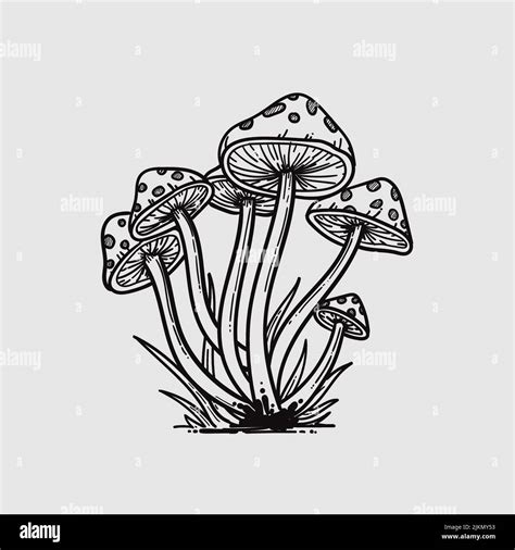 The Hand Drawn Amanita Muscaria Mushrooms Isolated On Gray Background Stock Vector Image And Art