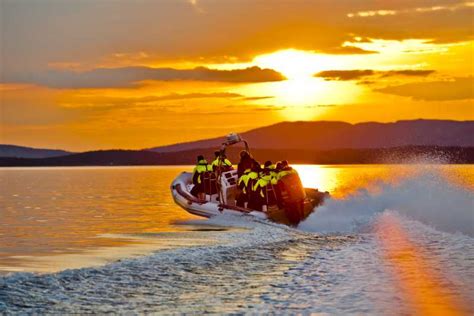 Fr N Stavanger Rib Sightseeing Cruise Till Lysefjord Getyourguide