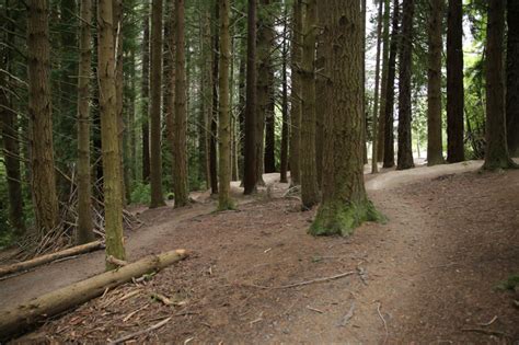 Redwoods Bike Track Forest Film Otago Southland