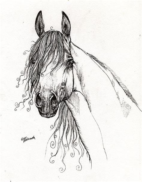 Horse Drawing Easy At Free For Personal Use Horse