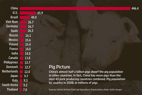 Economist Online Blog Archive Pig Production In Comparative