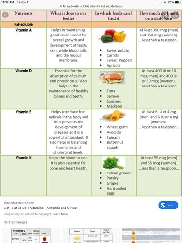 Nutrition Flashcards Quizlet