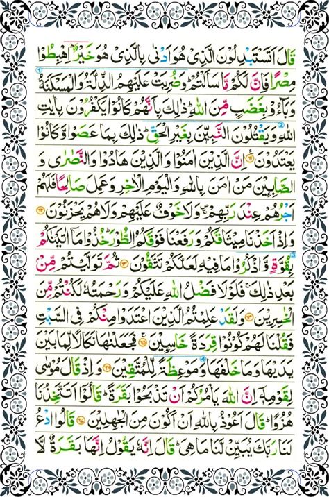 Surah Yasin Ayat 8 Psittacula7