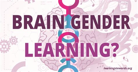 Brain Gender Learning Learning Stewards