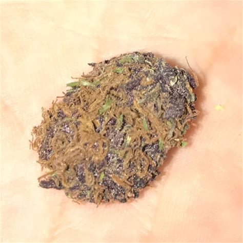 Pineapple Purple Skunk Weed Strain Information Leafly