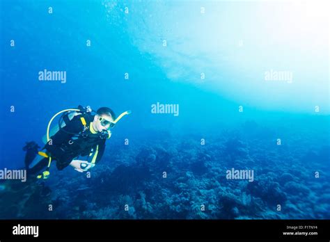 Silhouette Of Scuba Diver Near Sea Bottom With Copyspace Stock Photo