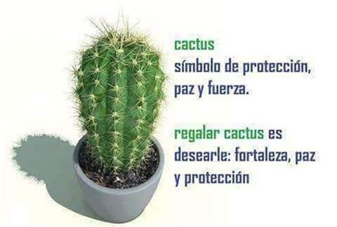 Qu Significa Regalar Un Cactus Seg N El Feng Shui