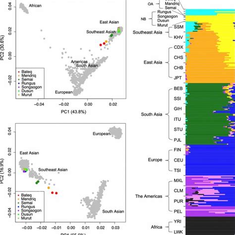 Principle Component Analysis Pca And Genetic Admixture Analysis A