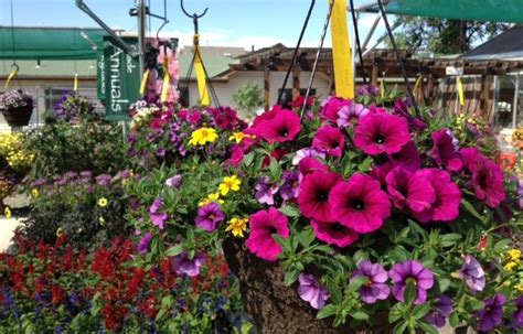 Garden Center Creek Side Gardens