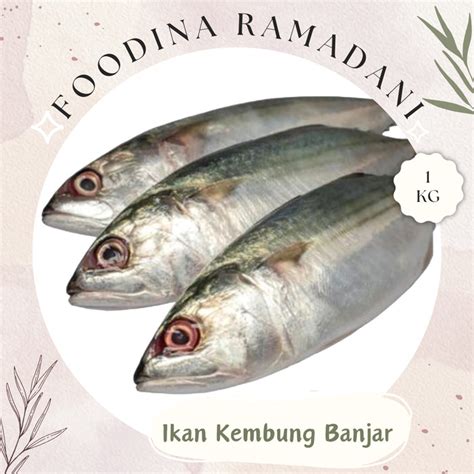 Jual IKAN KEMBUNG Banjar Mackerel Fish Fresh Berat 1 000gr Harga