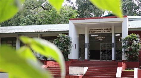 Bs Forestry Uplb