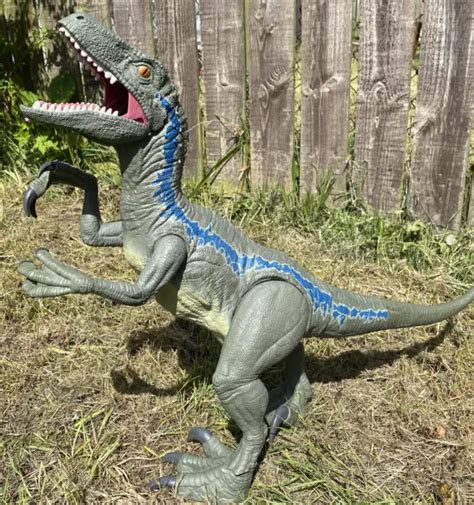 Jurassic World Dinosaur Super Colossal Velociraptor Blue Figure Mattel 2018 Huge £38 99