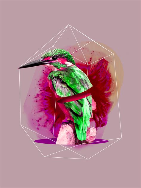 Darwin On Behance